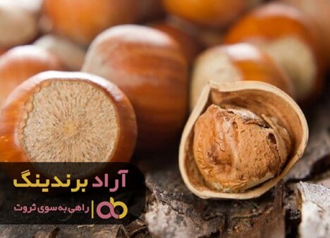 چگونه فندق را خندان کنیم